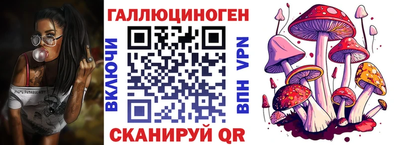 shop формула  Красноуфимск  Псилоцибиновые грибы Psilocybine cubensis 